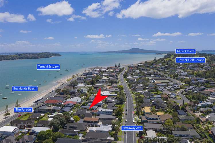 55c Hattaway Avenue Bucklands Beach_10