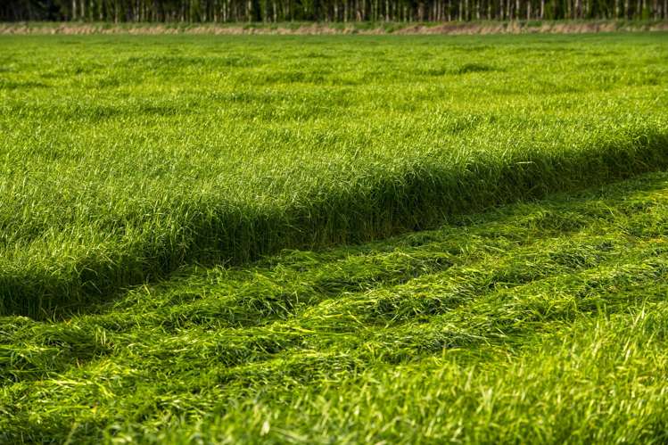 2225 State Highway 2 Whakaki_15