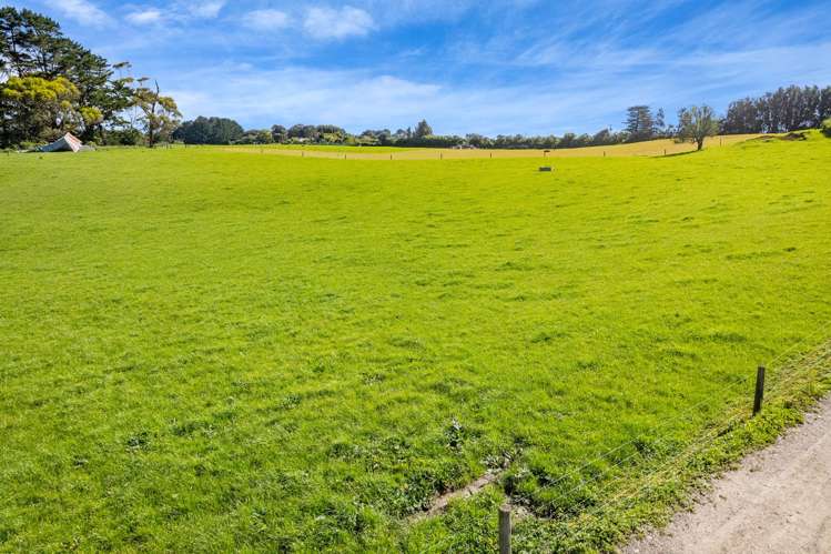 226 Pukearuhe Road Mimi_20