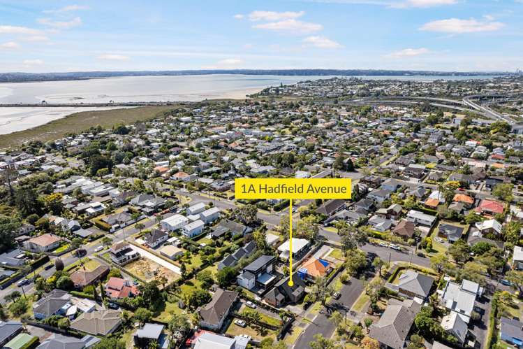 1a Hadfield Avenue Waterview_23