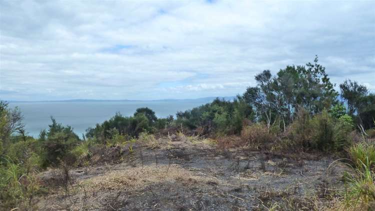 45 Otuturu Crescent Thames_19