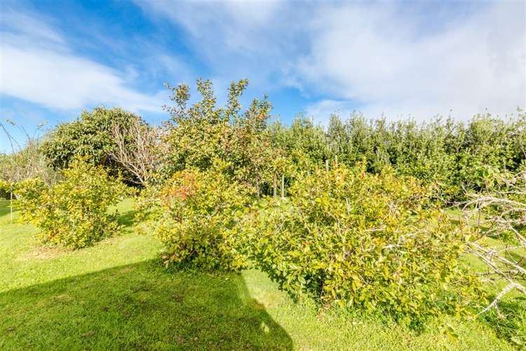 79 Hupara Road Pakaraka_12