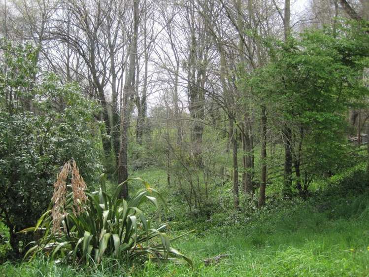 77 Main North Road Geraldine_28