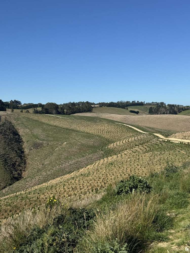 174 McCulloch Road Awamangu_36