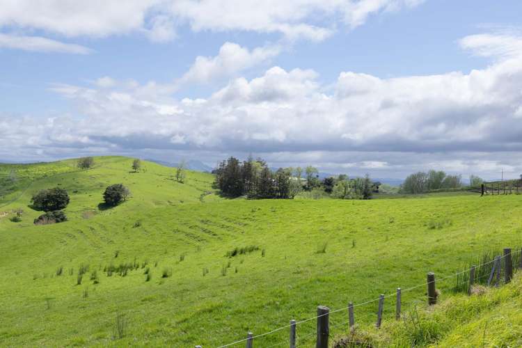 282 Girls High School Road Pukehuia_8