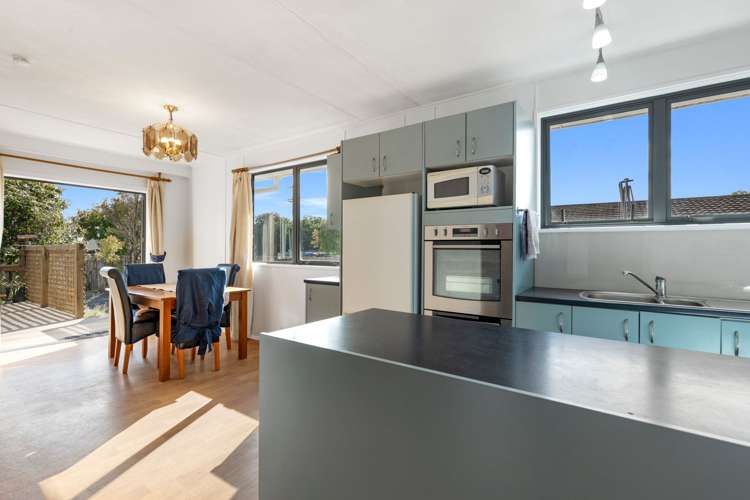 29 Havelock Street Renwick_6