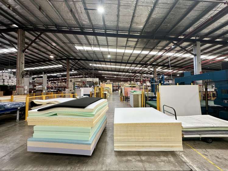 670 Rosebank Road Avondale_5