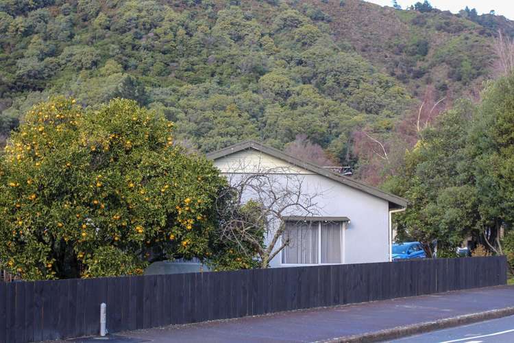 44 Durham Street Picton_14