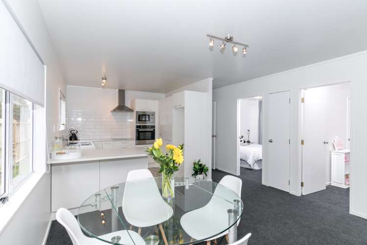 81c Cameron Road Hamilton East_6