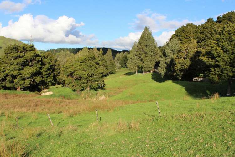 Pipiwai Road Ruatangata_15