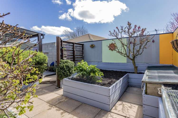 19b Windsor Court Rangiora_18