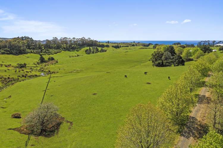 465 Otaha Road Kerikeri_10