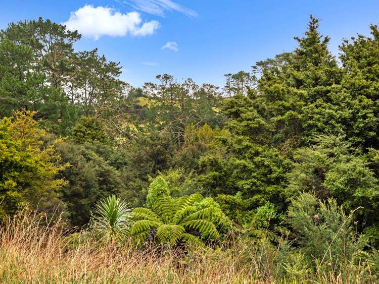 176 Oneil Road Kaukapakapa_22