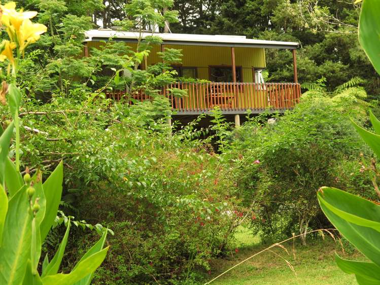 130 Gibbons Road Kaiwaka_23