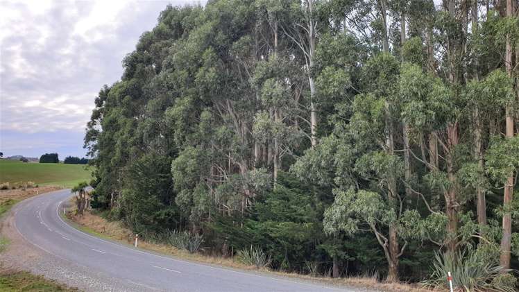 Tuapeka West Road Lawrence_2