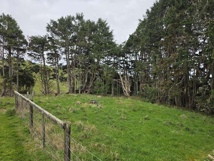 728 Kawhia Road Makomako_14