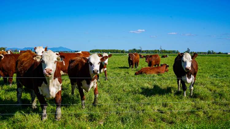 1944 State Highway 25 Orongo_2