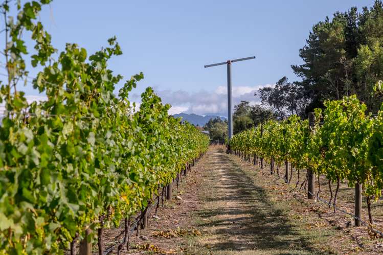 46 Waipipi Road Opaki_7