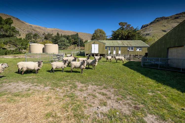 440 Camp Bay Road Port Levy_5