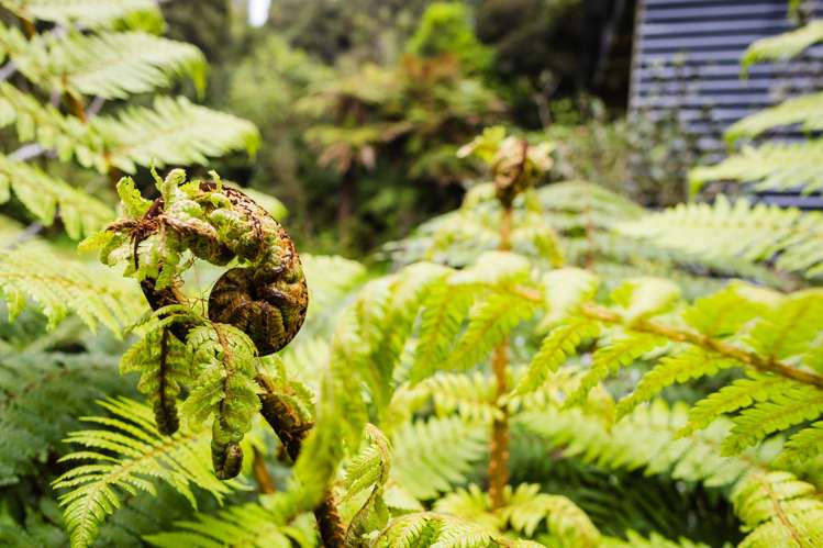 3454 State Highway 6 Barrytown_17