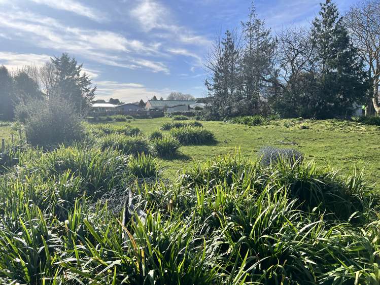 289 High Street Dannevirke_1