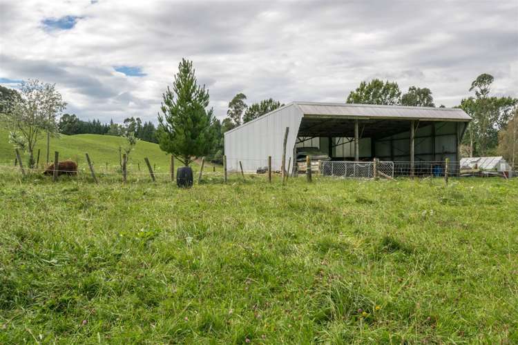 64 Hills Road Rai Valley_22