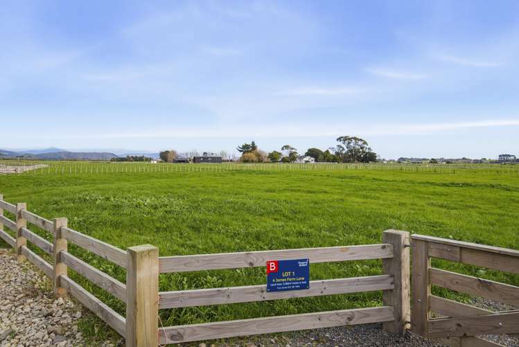 223 Kuku Beach Road and James Farm Lane Levin_10