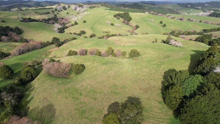 78 Otioro Road Topuni_11