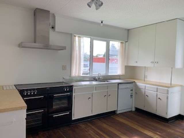 113 Vogel Street 1193_2