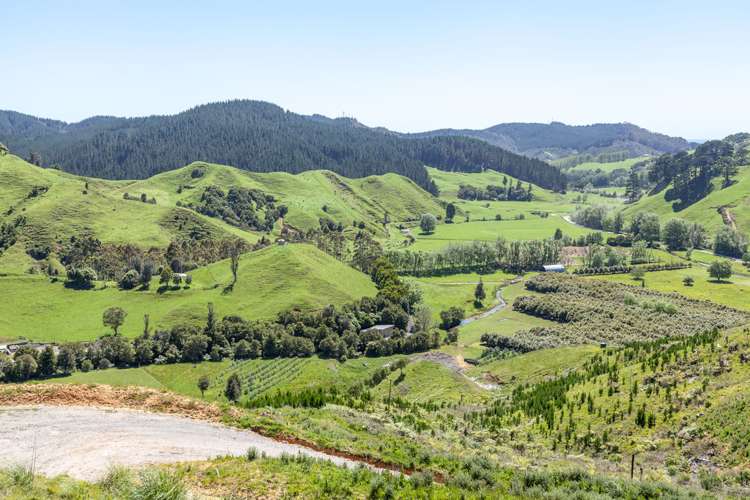 388 Wentworth Valley Road Whangamata_19