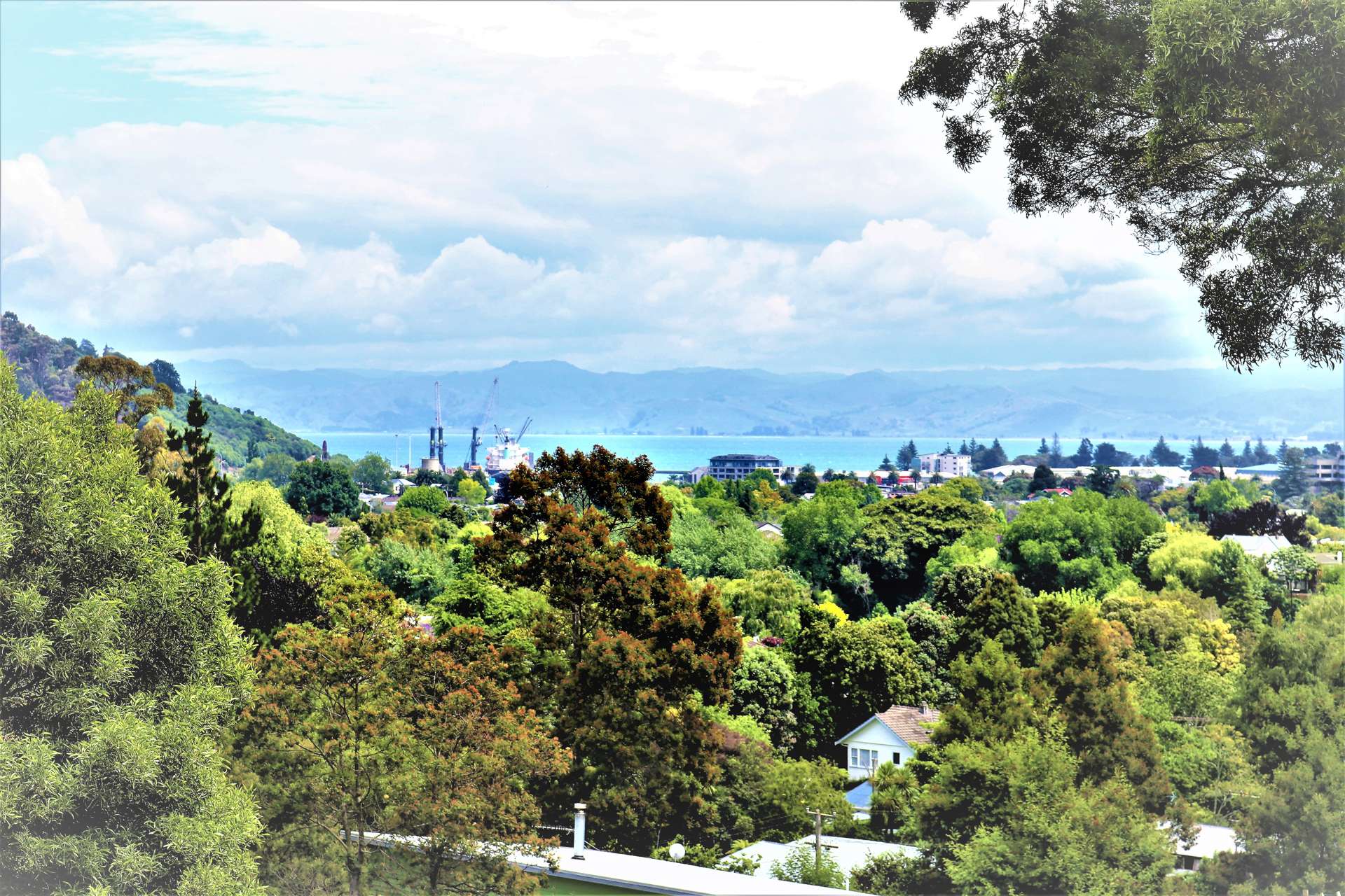 24 Riverside Road Whataupoko_0