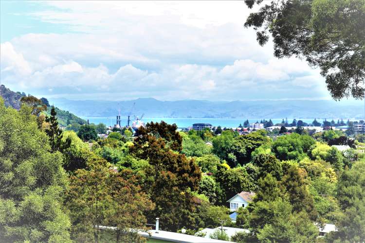 24 Riverside Road Whataupoko_0