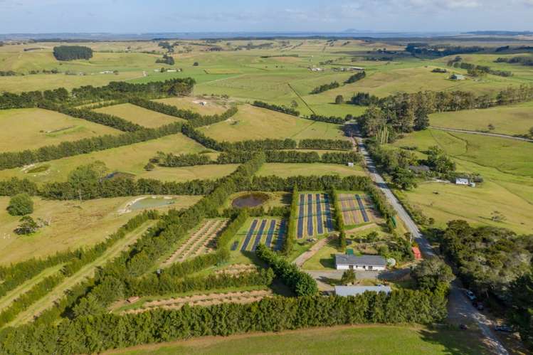 50 Simpson Road Karikari Peninsula_18