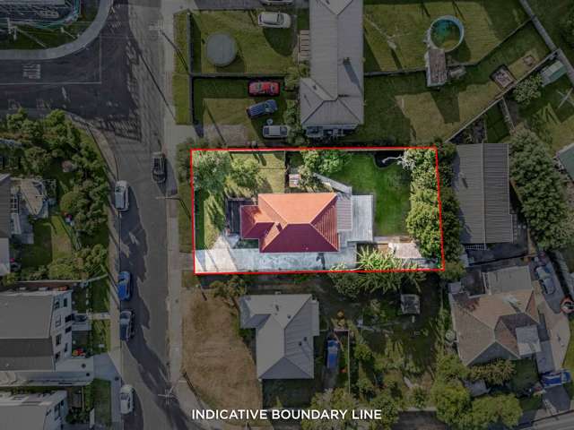 25 Alamein Road Panmure_2