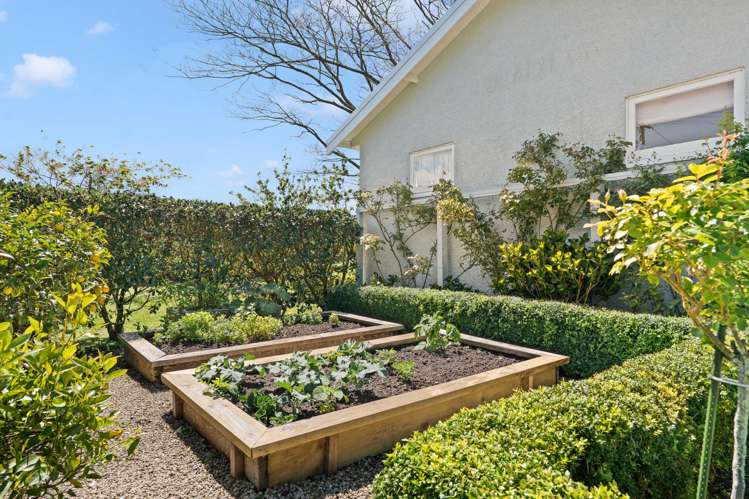 57 Reading Street Greytown_16