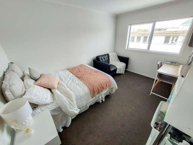 2C/11 Edgecumbe Street 3295_2