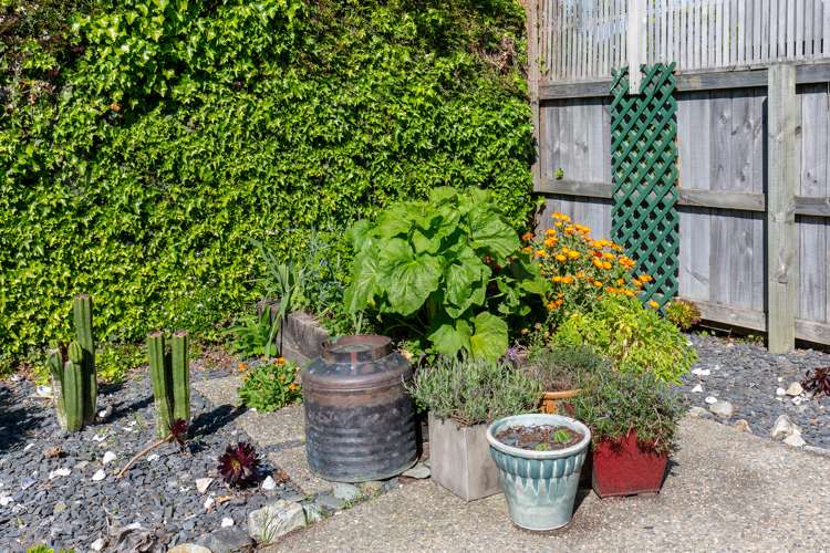 2 Tasman Street The Wood_16