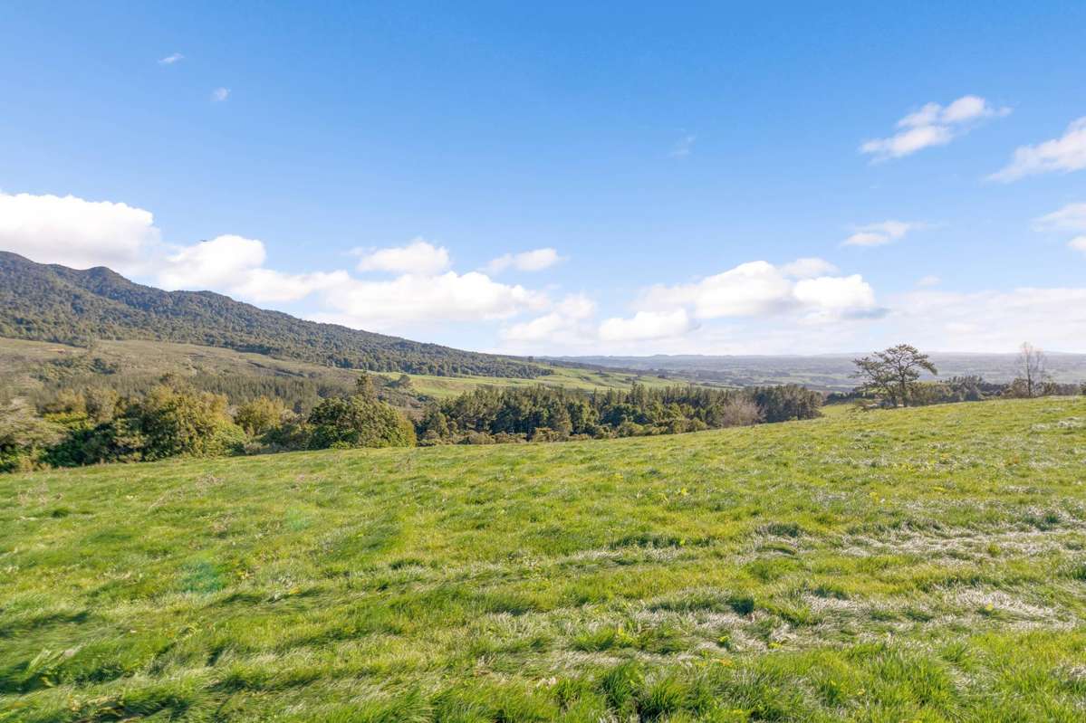2/471 Sainsbury Road_5