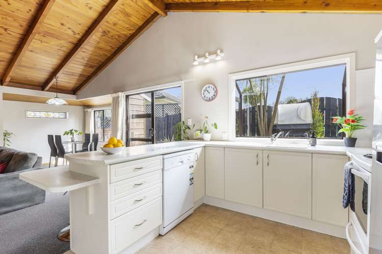 12a Alberton Avenue Mount Albert_9