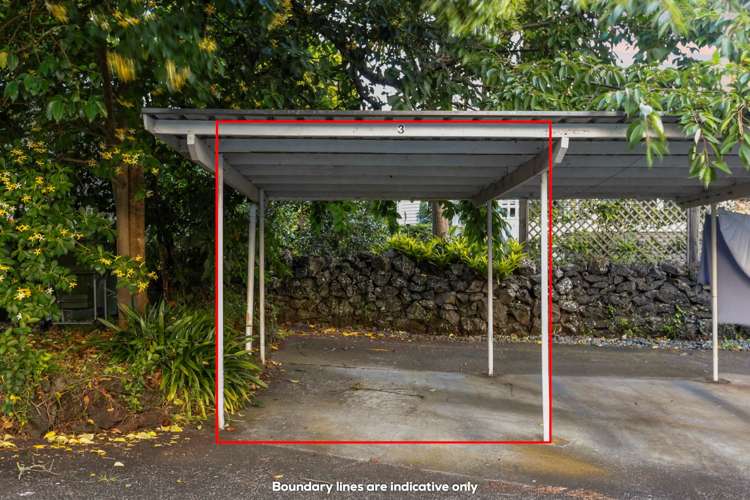 3/62 Woodside Road Mount Eden_17