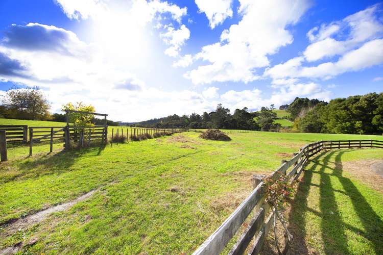 236 Blackbridge Road Dairy Flat_9