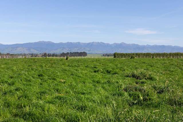 595 East Taratahi Road East Taratahi_2