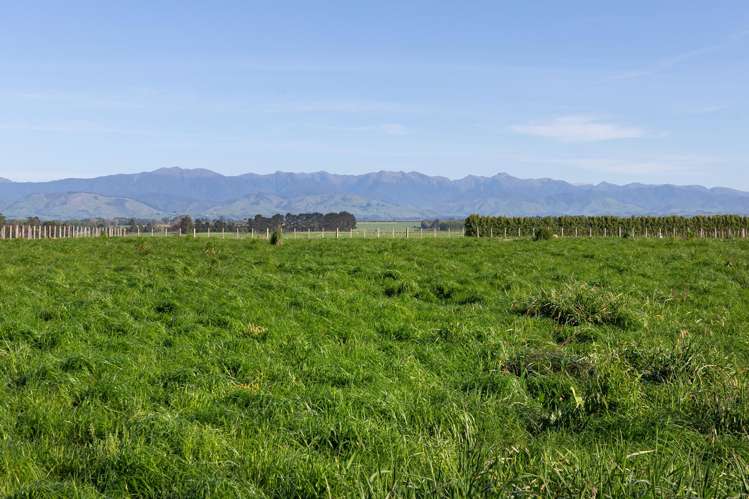 595 East Taratahi Road_2