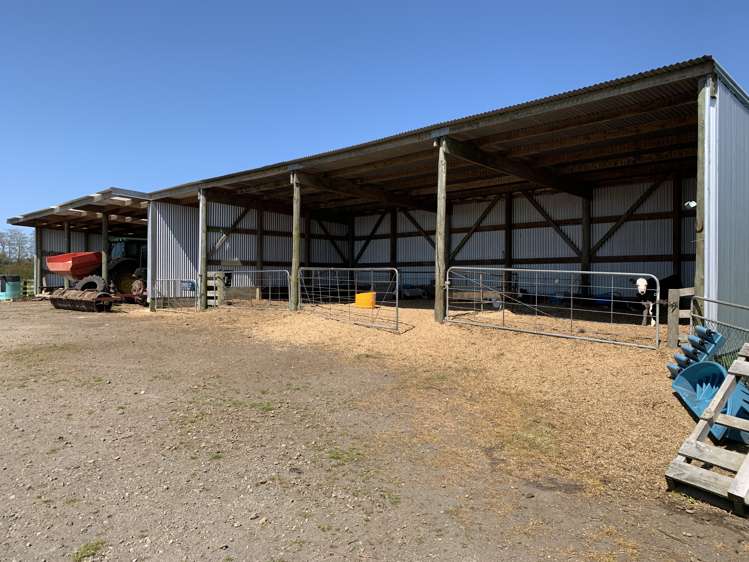 2442 Mountain Road Tariki_5