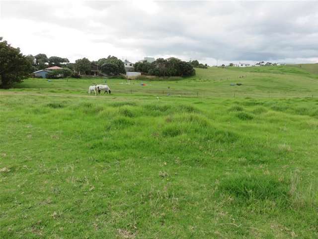 3a Ripiro Drive Dargaville Surrounds_2