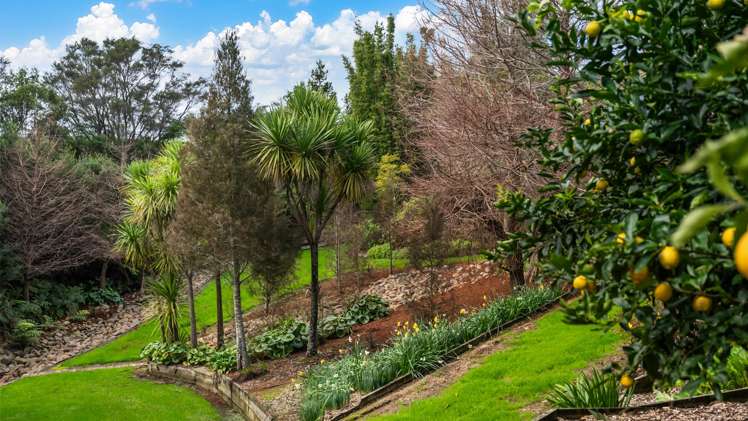 1027 Kaiaua Road Mangatangi_39