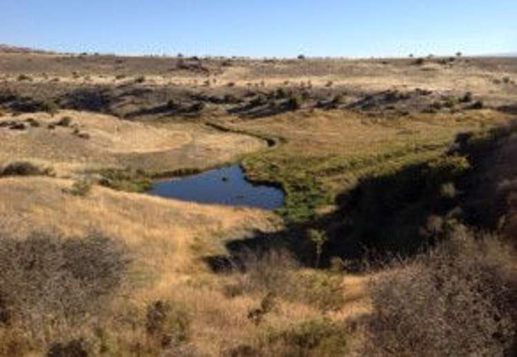 232 Ida Valley Back Road Oturehua_15