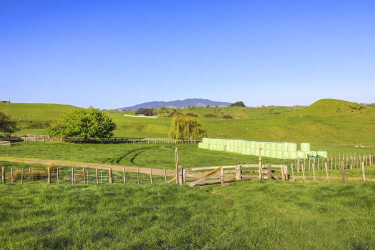 189 Pahihi Road Hauraki Surrounds_10