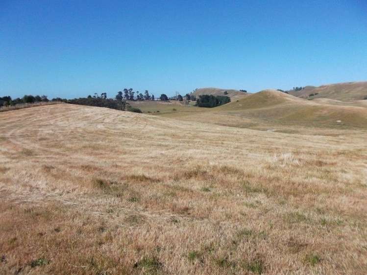 66 Jg Wilson Drive Waipukurau and Surrounds_5