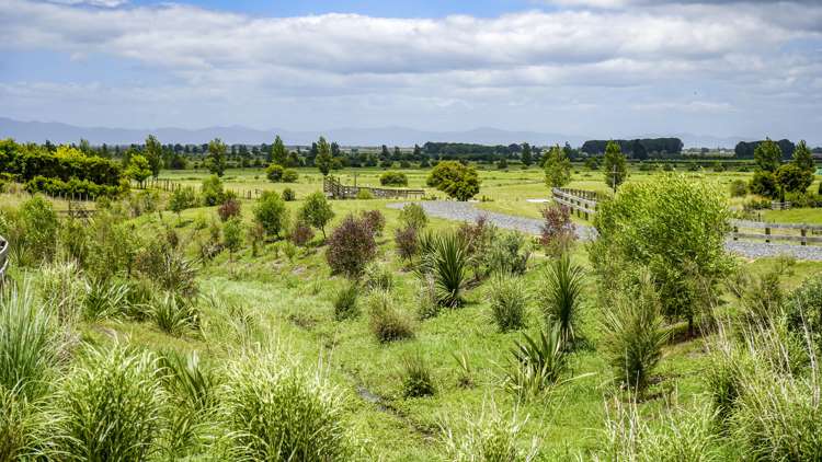 683 Back Miranda Road Miranda_12